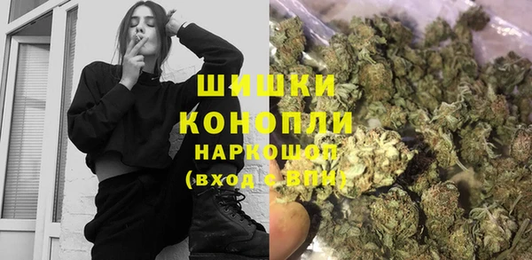 сатива Балахна