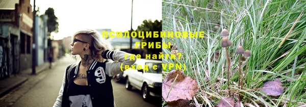 соль курить ск Белокуриха